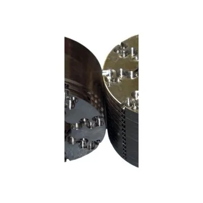 Severe Service Trims